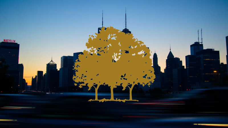 Beitragsbild zu Canopy Growth Aktie: Trump-Gerücht zündet