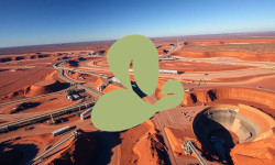 Beitragsbild zu Orchid Island Aktie: Dividende naht