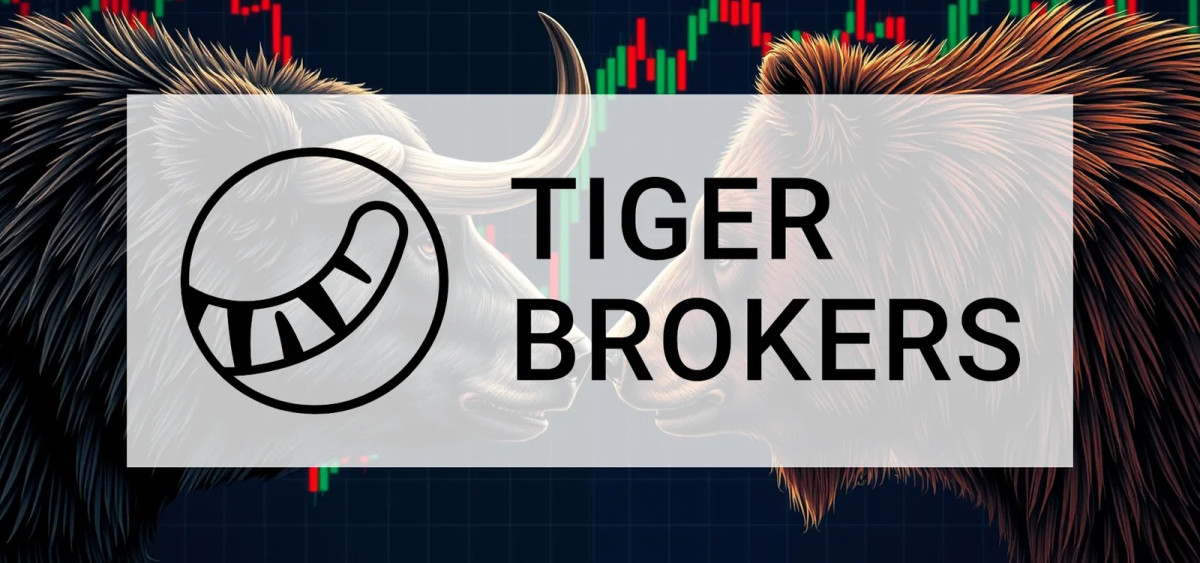 Beitragsbild zu Tiger Gold Aktie: Erschließung beschleunigt