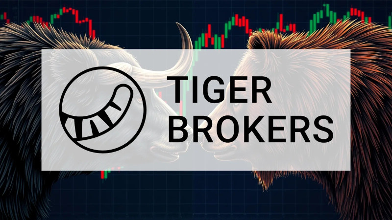 Beitragsbild zu Tiger Gold Aktie: Erschließung beschleunigt