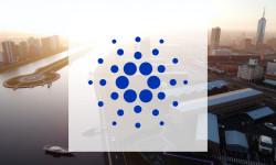 Beitragsbild zu Cardano: Perfekter Sturm!
