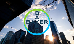 Beitragsbild zu Bayer-Aktie: Es geht weiter!