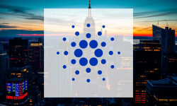 Beitragsbild zu Cardano: Situation überblicken