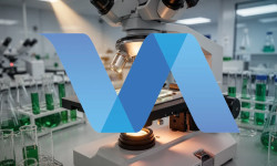 Beitragsbild zu Valneva Aktie: Besser als erwartet