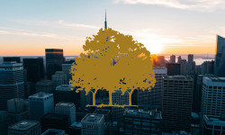 Beitragsbild zu Canopy Growth Aktie: Wichtige Wegmarke