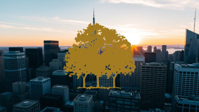 Beitragsbild zu Canopy Growth Aktie: Wichtige Wegmarke