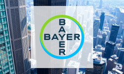 Beitragsbild zu Bayer Aktie: Phönix aus der Asche!