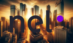 Beitragsbild zu Nel Asa-Aktie: Himmel!