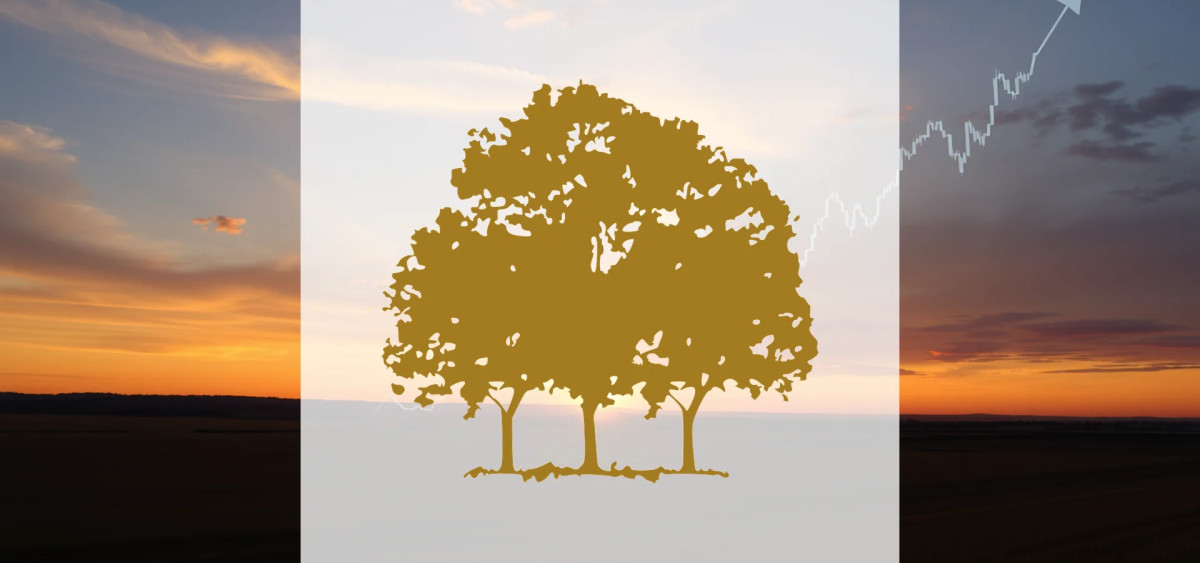 Beitragsbild zu Canopy Growth Aktie: Eine Zwickmühle!