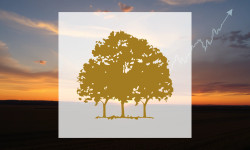 Beitragsbild zu Canopy Growth Aktie: Eine Zwickmühle!