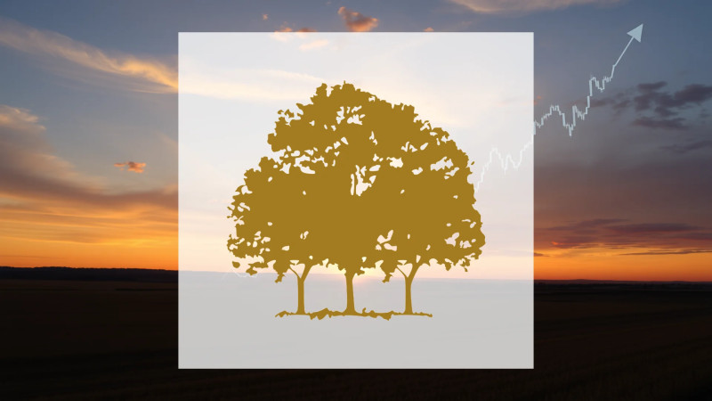 Beitragsbild zu Canopy Growth Aktie: Eine Zwickmühle!