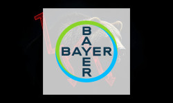 Beitragsbild zu Bayer Aktie: Kampf um die Wende!