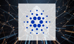 Beitragsbild zu Cardano: Wichtige Februar-Woche