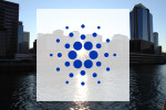Cardano: Florierende Geschäfte!