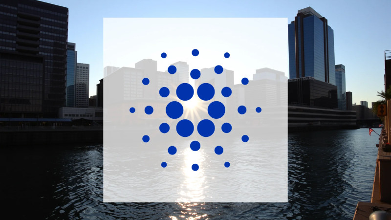 Beitragsbild zu Cardano: Florierende Geschäfte!