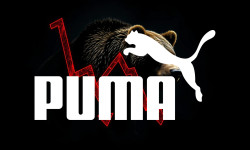 Beitragsbild zu Puma Aktie: Kampf ums Überleben