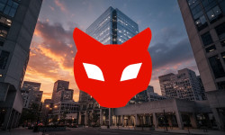 Beitragsbild zu Red Cat Aktie: Rekord trifft Realität