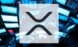 Beitragsbild zu XRP: Bild verloren?