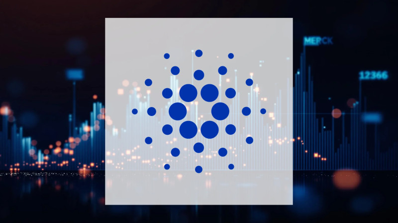 Beitragsbild zu Cardano: Nowendiger Neustart?