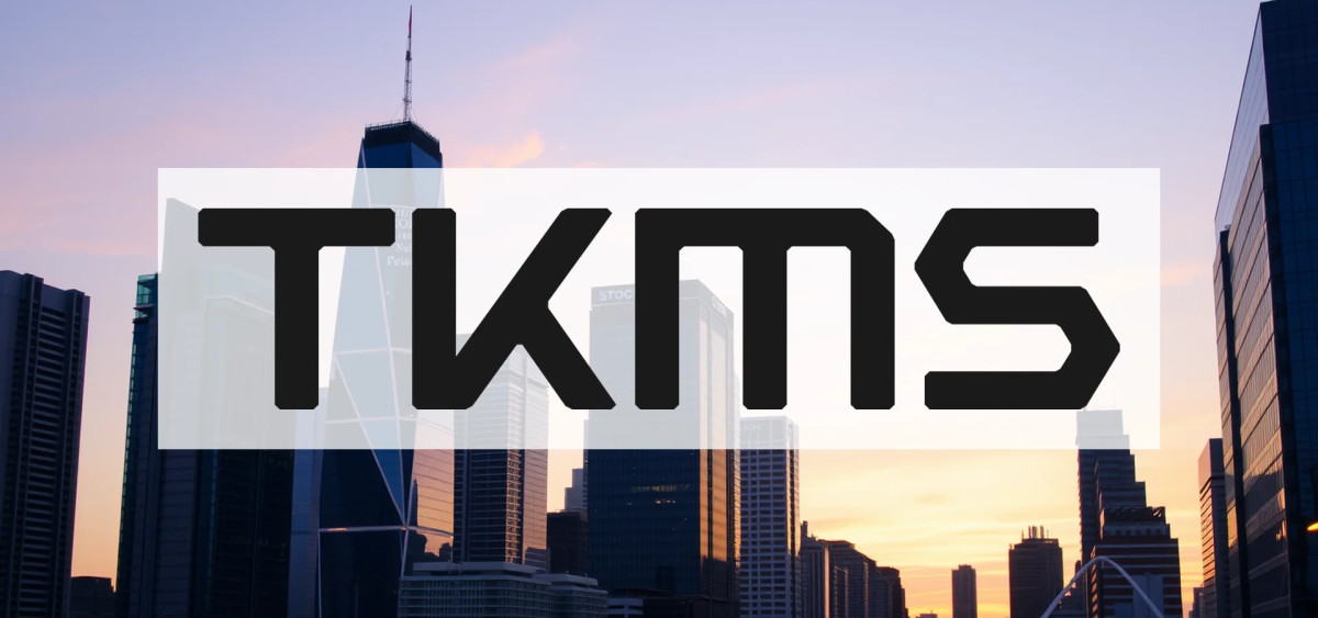 Beitragsbild zu TKMS Aktie: Erfolgsweg beschritten!