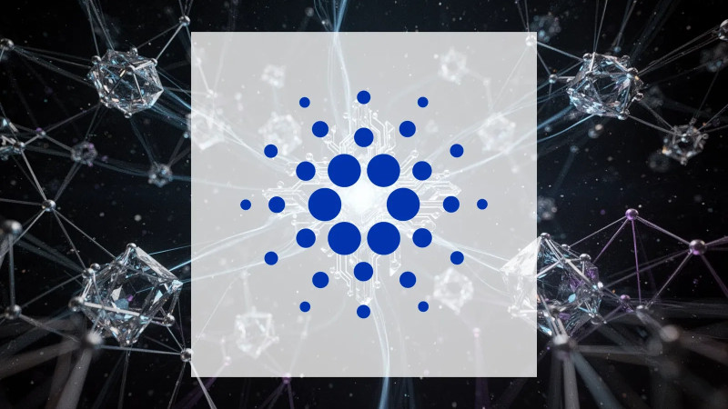 Beitragsbild zu Cardano: SPAR-Zahlungen