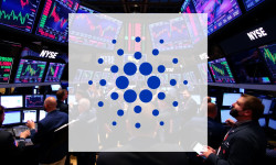 Beitragsbild zu Cardano: Die Aufholjagd beginnt