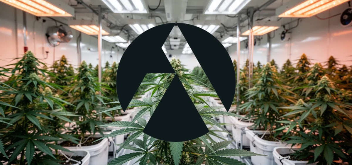 Beitragsbild zu Tilray Aktie: UK-Expansion gestartet
