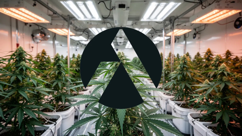 Beitragsbild zu Tilray Aktie: UK-Expansion gestartet