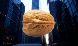 Beitragsbild zu PSI Software Aktie: Missglückte Schritte?