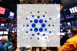 Cardano schwimmt gegen den Strom