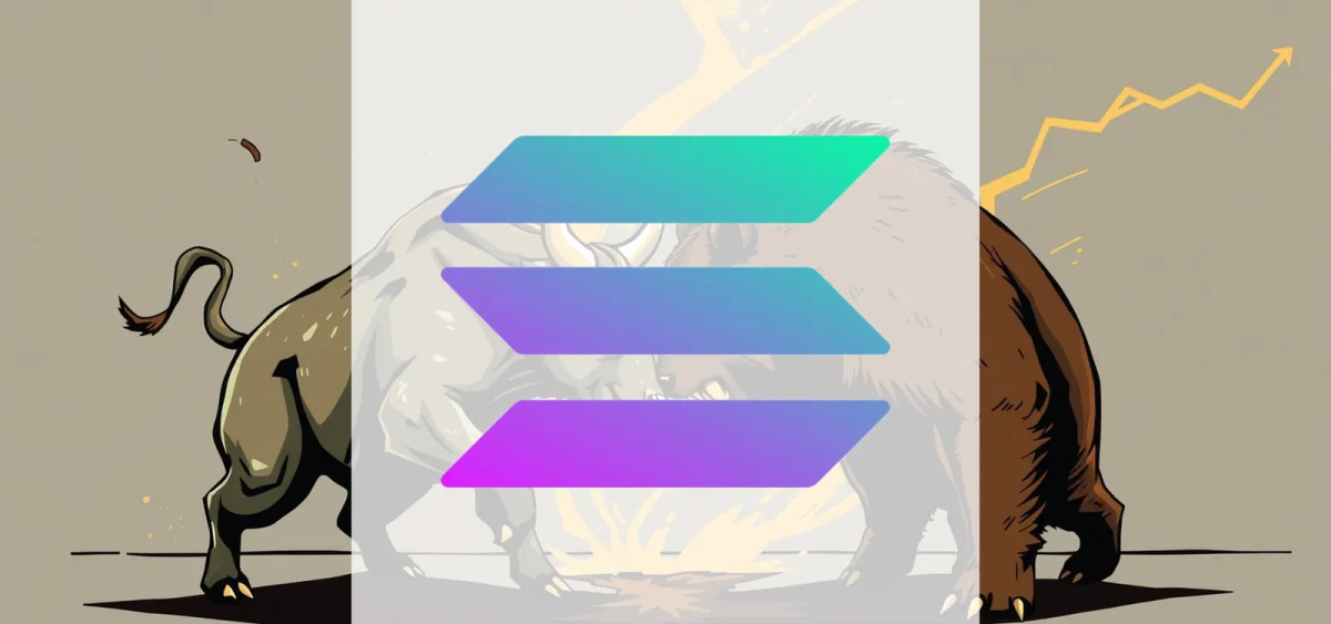 Beitragsbild zu Solana: Investitionspläne vorgestellt