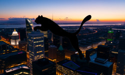 Beitragsbild zu Puma Aktie: Kahlschlag und Fantasie