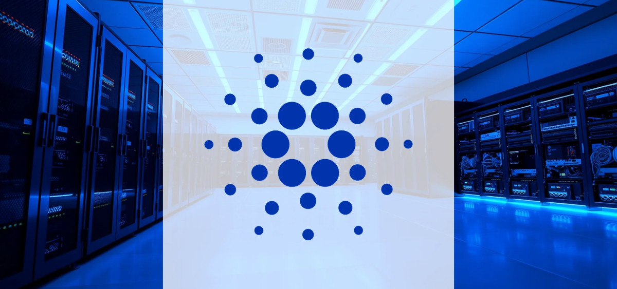 Beitragsbild zu Cardano: Wale kaufen massiv zu