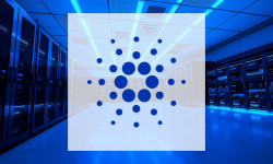 Beitragsbild zu Cardano: Wale kaufen massiv zu