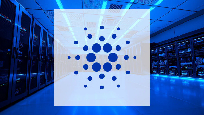 Beitragsbild zu Cardano: Wale kaufen massiv zu