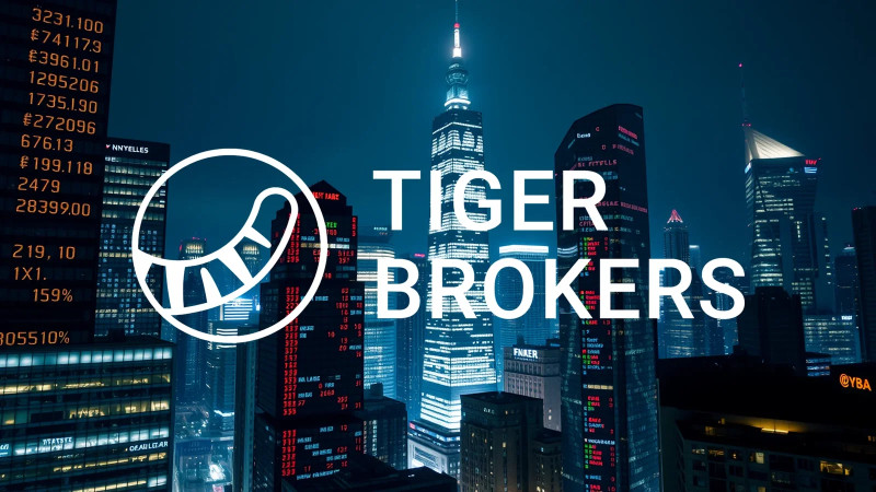 Beitragsbild zu Tiger Gold Aktie: Strategischer Bohrstart