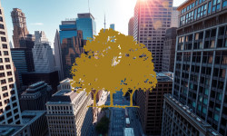 Beitragsbild zu Canopy Growth Aktie: Volatile Tage