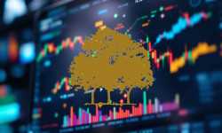 Beitragsbild zu Canopy Growth Aktie: Verluste schrumpfen