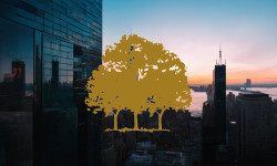 Beitragsbild zu Canopy Growth Aktie: Realitätscheck!