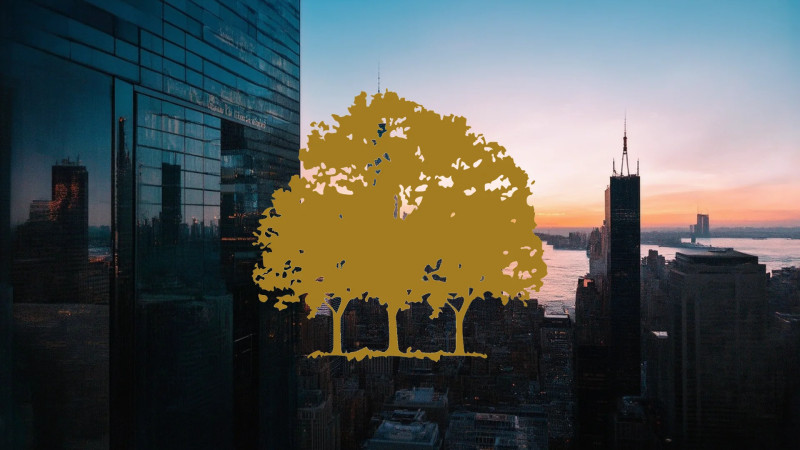 Beitragsbild zu Canopy Growth Aktie: Realitätscheck!