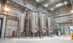 Beitragsbild zu dsm-firmenich Aktie: Strategischer Umbau