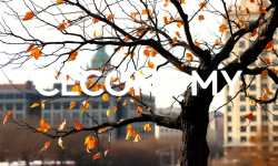 Beitragsbild zu Ceconomy Aktie: Übernahme perfekt!