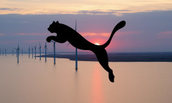 Beitragsbild zu Puma Aktie: Übernahmefantasie kaschiert Krise