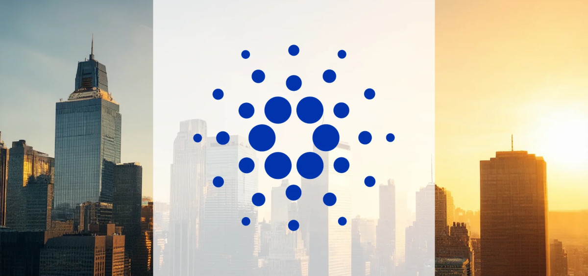 Beitragsbild zu Cardano: Wale kaufen nach!