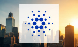 Beitragsbild zu Cardano: Wale kaufen nach!