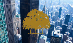 Beitragsbild zu Canopy Growth Aktie: Wichtige Woche