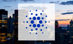 Beitragsbild zu Cardano: Finanzergebnisse interpretiert