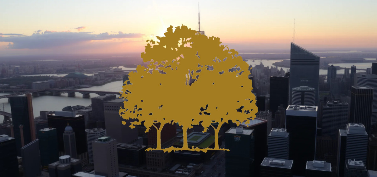 Beitragsbild zu Canopy Growth Aktie: Absturz voraus?