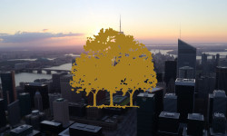 Beitragsbild zu Canopy Growth Aktie: Absturz voraus?