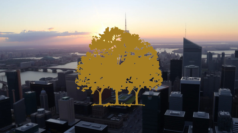 Beitragsbild zu Canopy Growth Aktie: Absturz voraus?